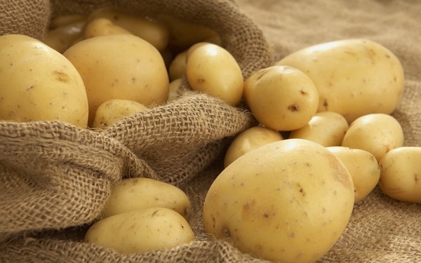 Минсельхоз Республики Беларусь опроверг сообщения о реэкспорте картофеля в РФ